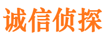 顺河捉小三公司